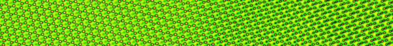 IMPRESSUM - DGE Microscopy